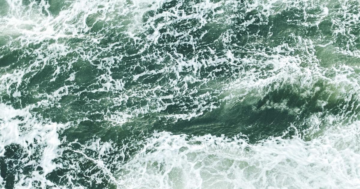 Top 10 Things To Do In Jibhi